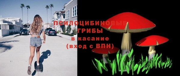 гашик Белоозёрский