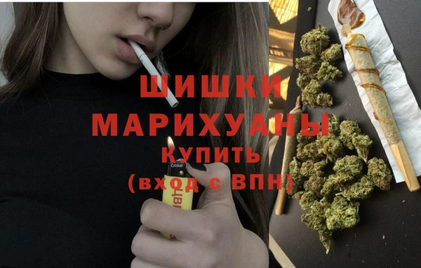 гашик Белоозёрский