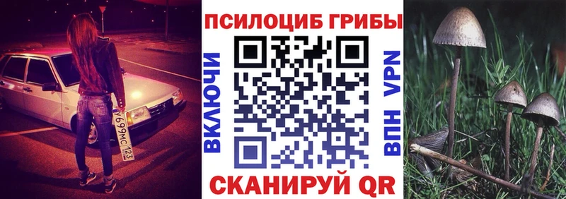 дарнет шоп  Кущёвская  Галлюциногенные грибы MAGIC MUSHROOMS 